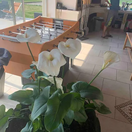Hébergement de vacances De Groupe La Barrière
