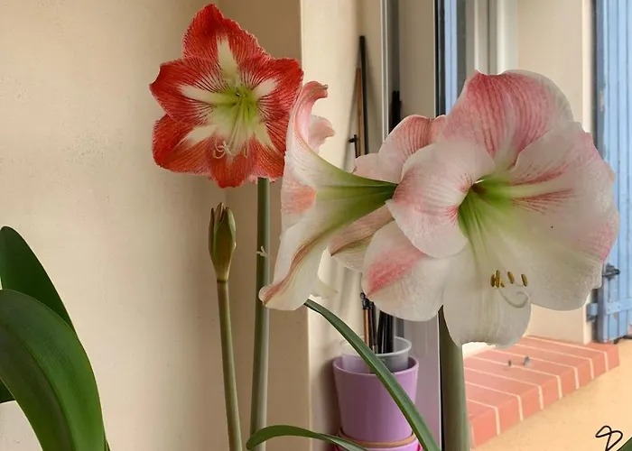 De Groupe La Barriere Hébergement de vacances